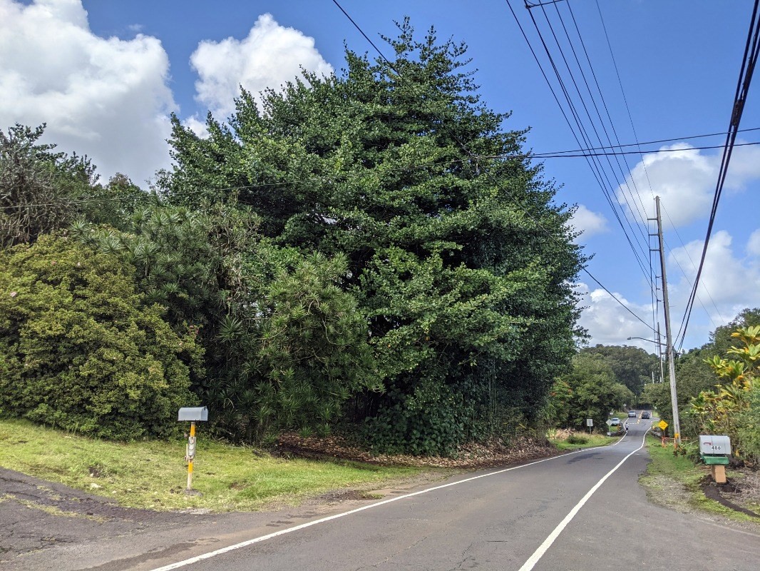 487 Lot 5 Akolea Road Hilo, HI 96720 - Photo 6 of 6