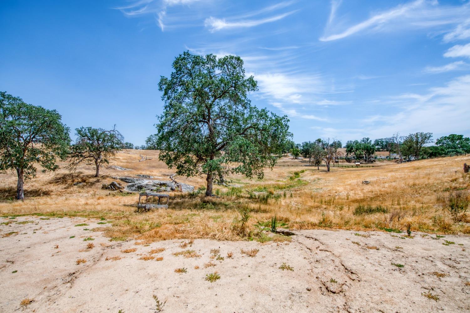 22452 Goldrush Lane Clovis, CA 93619 - Photo 29 of 36 a view of a yard with a house