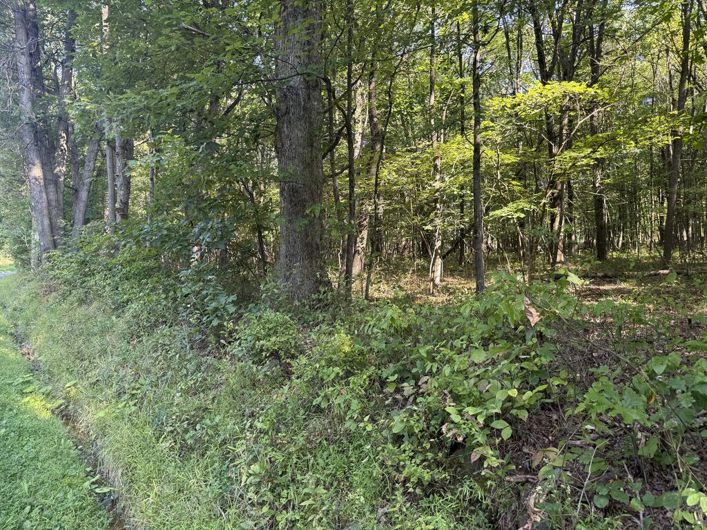 828 Dennison Run Road Polk, PA 16342 - Photo 22 of 25 Gallery Image 22