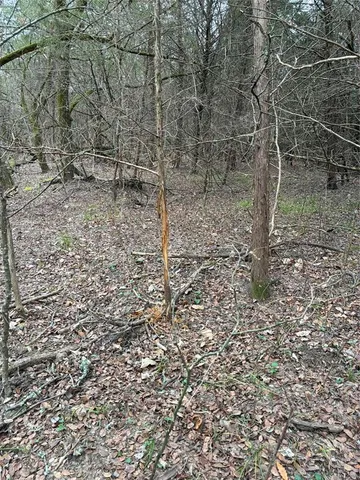 a view of a yard with an outdoor space