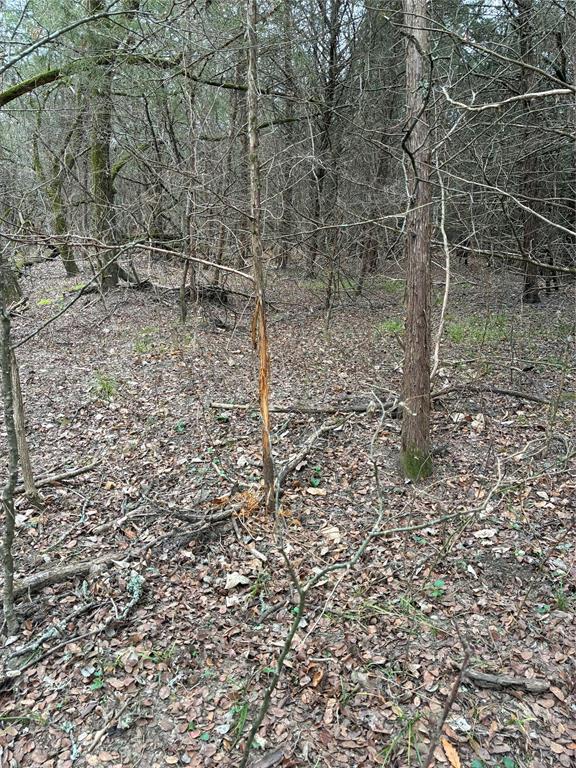 23 County Road 2950 Windom, TX 75492 - Photo 11 of 20 a view of a dry yard