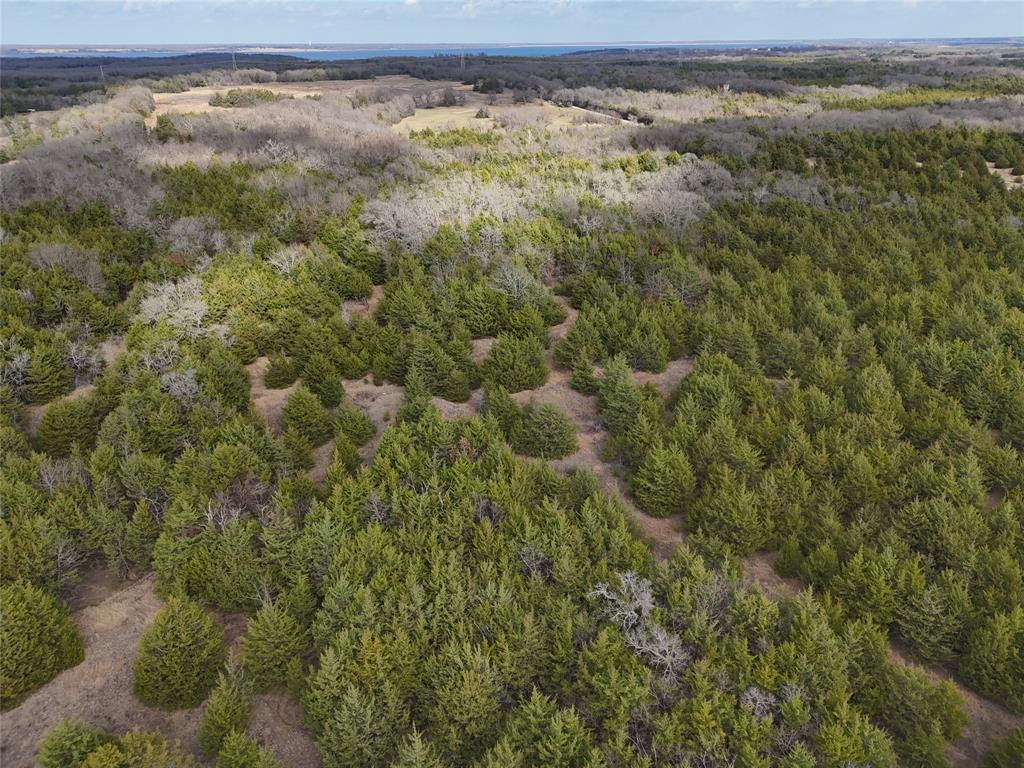 23 County Road 2950 Windom, TX 75492 - Photo 12 of 20 a view of a yard with an outdoor space
