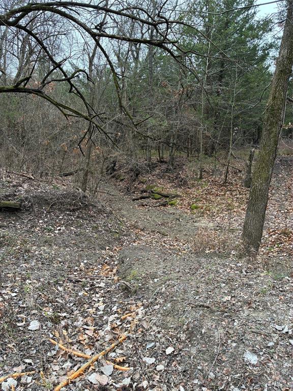 23 County Road 2950 Windom, TX 75492 - Photo 14 of 20 a view of a yard with a tree