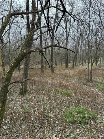 a view of a yard with plants and a bench