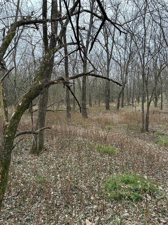 23 County Road 2950 Windom, TX 75492 - Photo 15 of 20 a backyard of a house with lots of green space