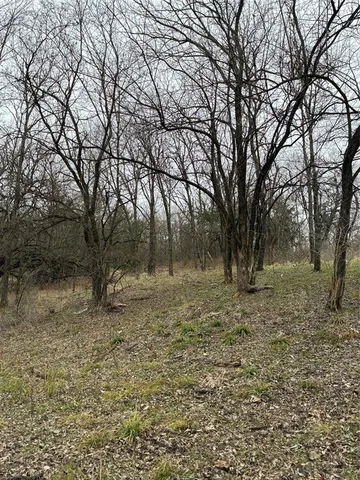 a backyard of a house with lots of trees