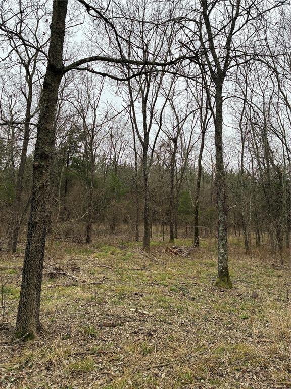 23 County Road 2950 Windom, TX 75492 - Photo 18 of 20 a backyard of a house with lots of trees