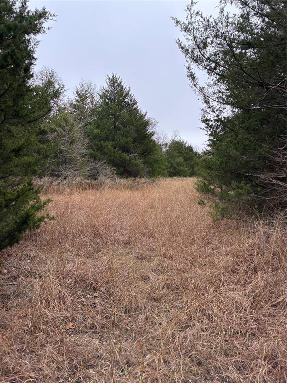 23 County Road 2950 Windom, TX 75492 - Photo 7 of 20 a view of outdoor space and yard