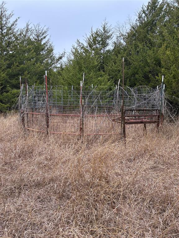23 County Road 2950 Windom, TX 75492 - Photo 9 of 20 a backyard of a house with lots of green space