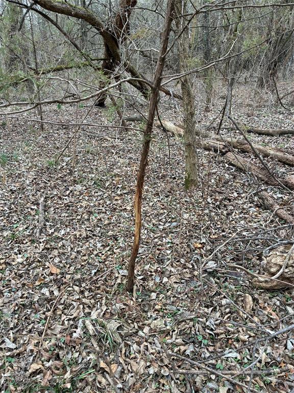 23 County Road 2950 Windom, TX 75492 - Photo 10 of 20