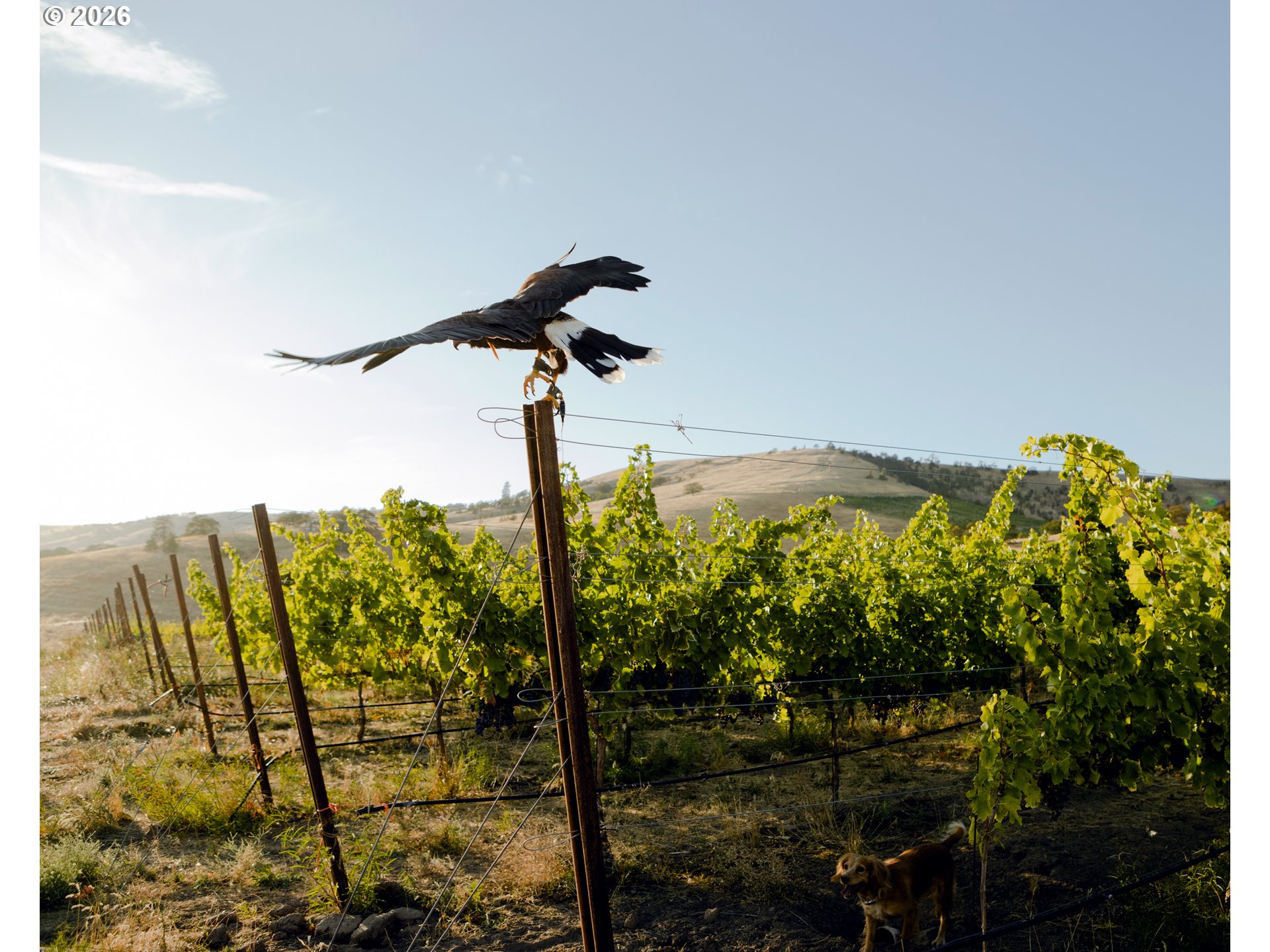 3475 3 Mile County Road The Dalles, OR 97058 - Photo 14 of 47