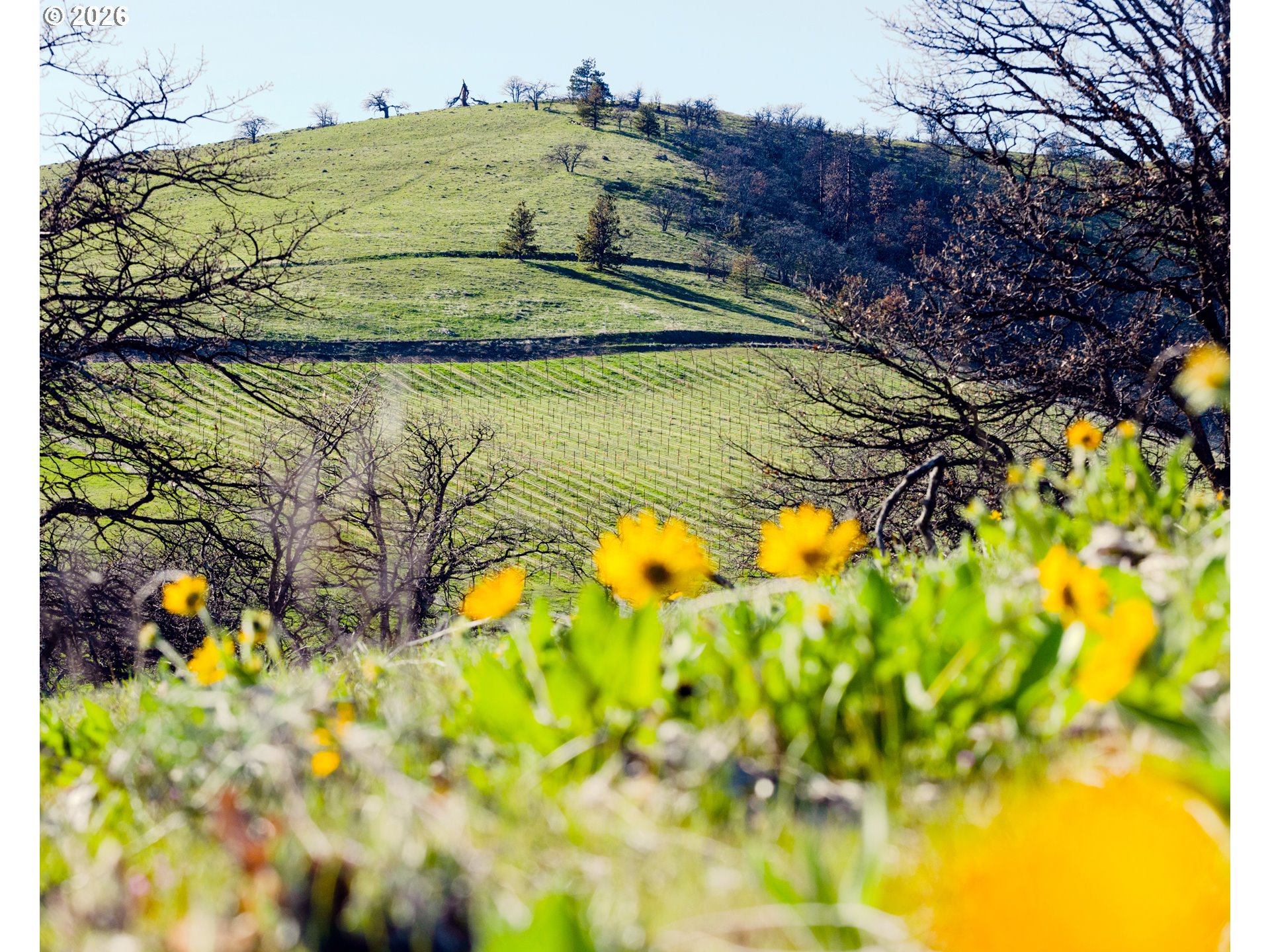 3475 3 Mile County Road The Dalles, OR 97058 - Photo 18 of 47