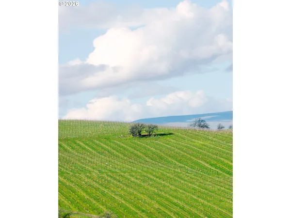 a view of houses with outdoor space