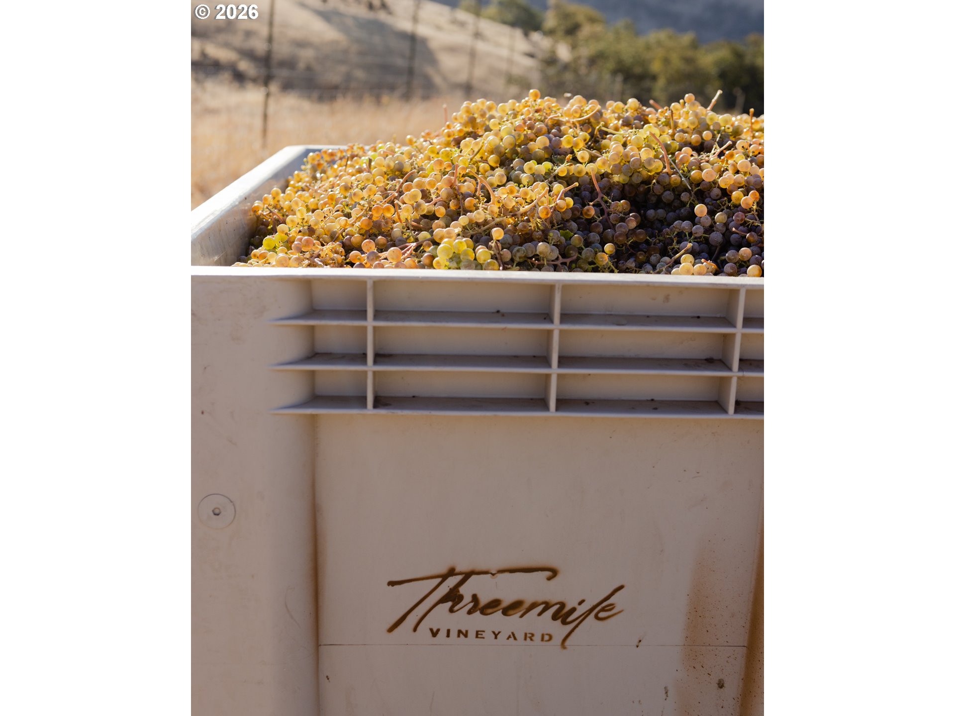 3475 3 Mile County Road The Dalles, OR 97058 - Photo 22 of 47