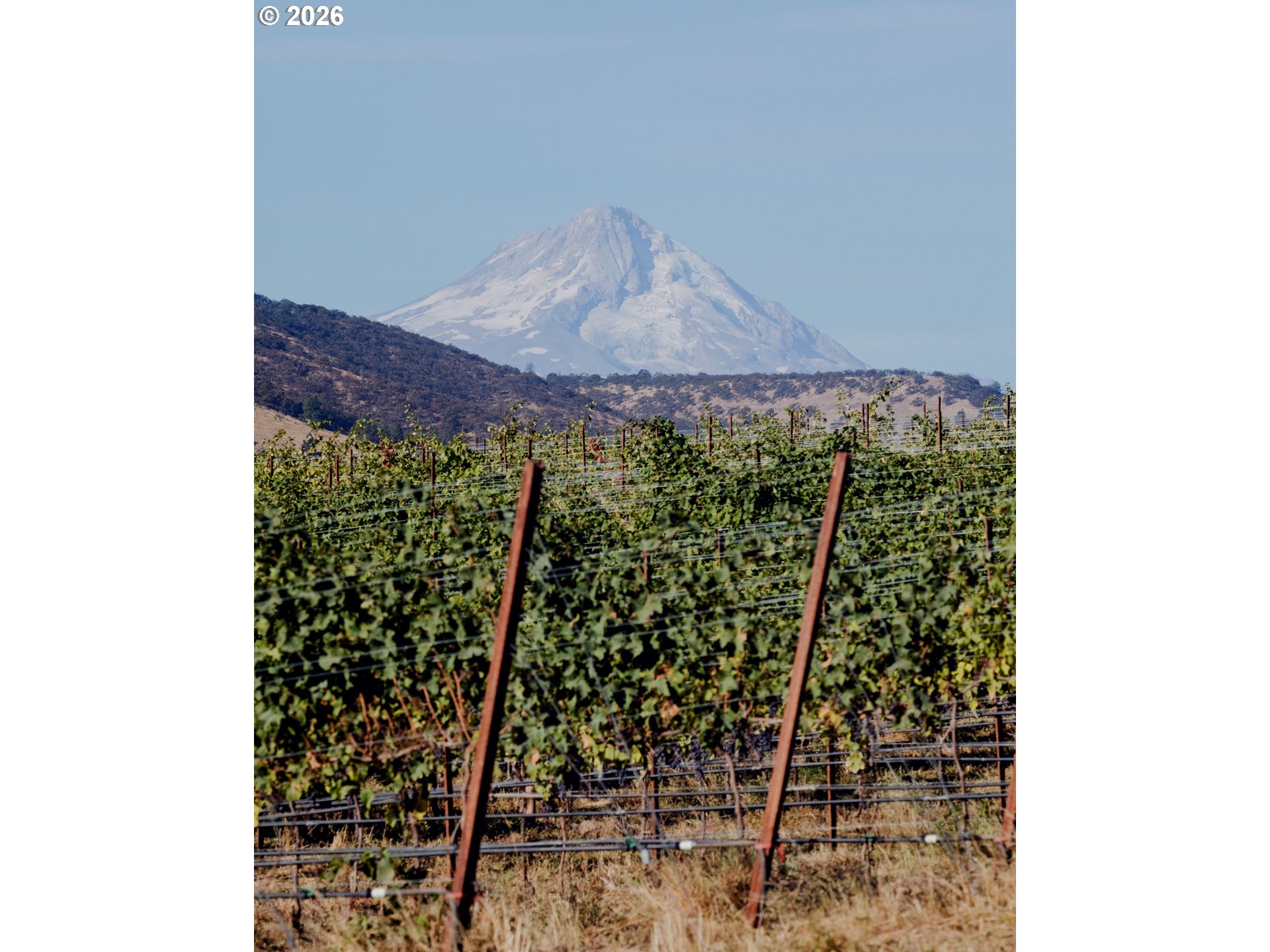 3475 3 Mile County Road The Dalles, OR 97058 - Photo 23 of 47