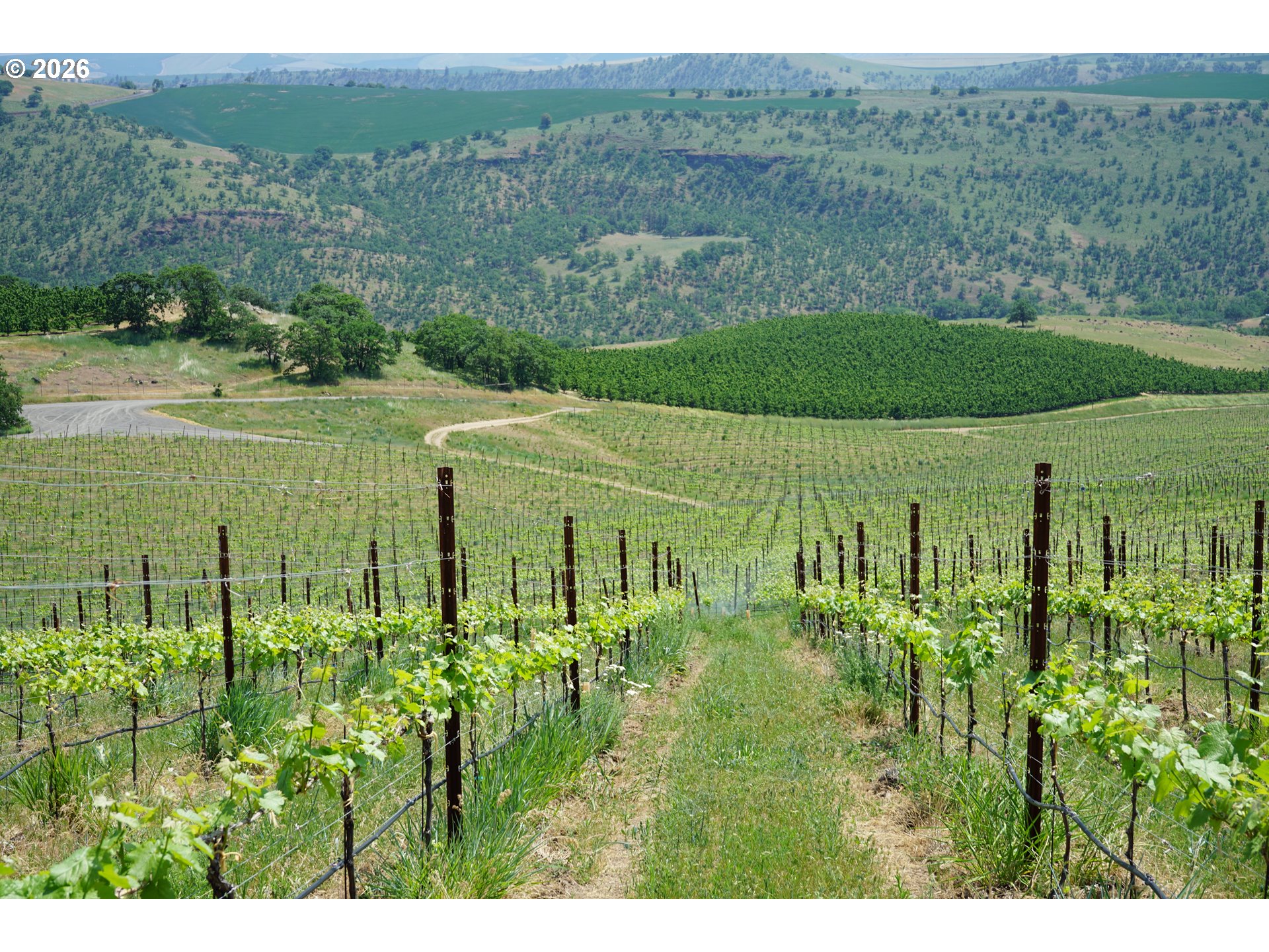 3475 3 Mile County Road The Dalles, OR 97058 - Photo 25 of 47