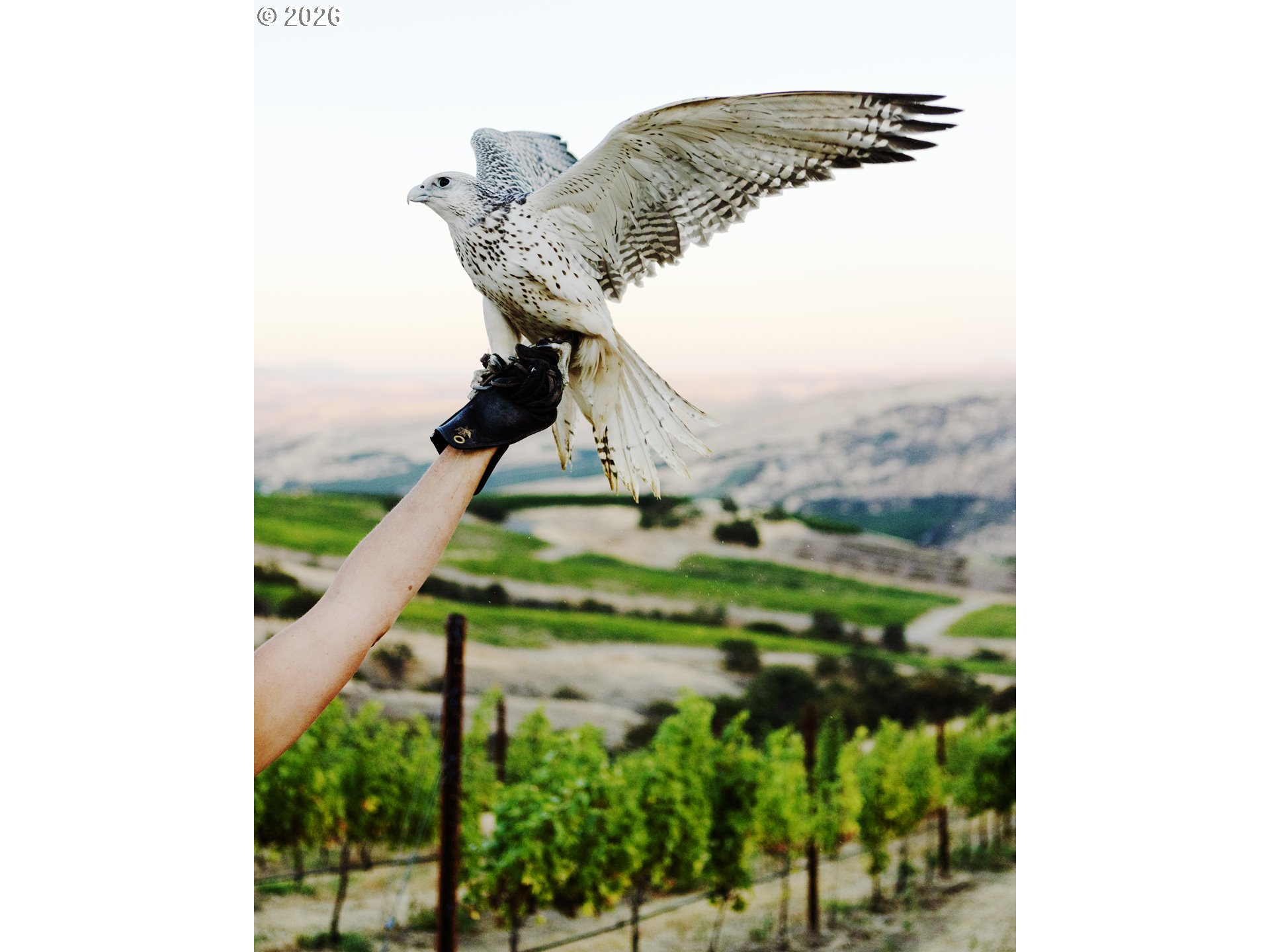 3475 3 Mile County Road The Dalles, OR 97058 - Photo 26 of 47