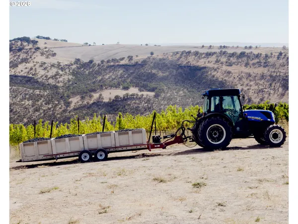 a view of swimming pool from a garden