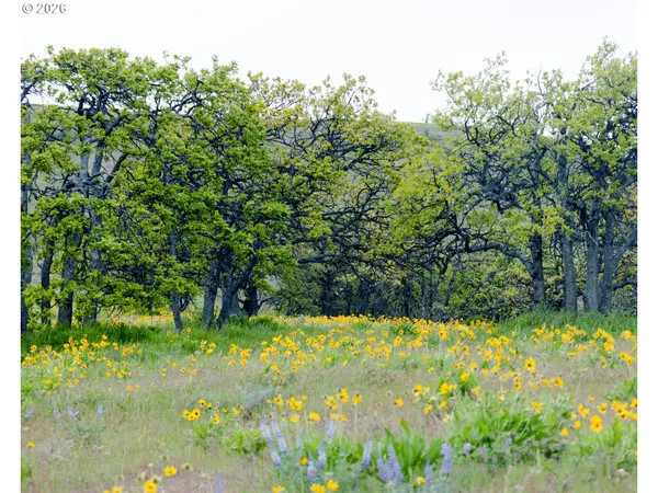 a view of an outdoor space and a yard