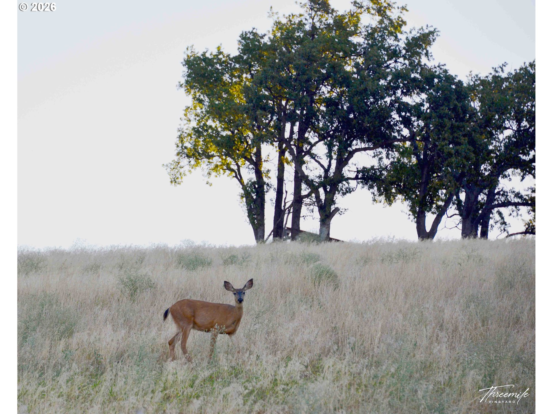 3475 3 Mile County Road The Dalles, OR 97058 - Photo 33 of 47