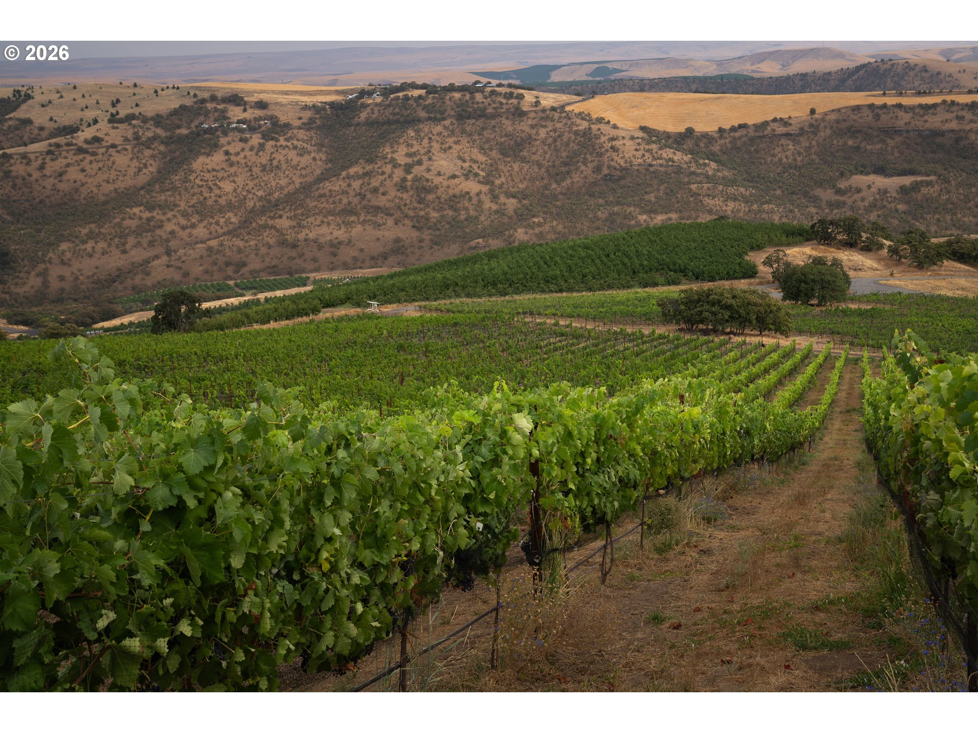 3475 3 Mile County Road The Dalles, OR 97058 - Photo 35 of 47