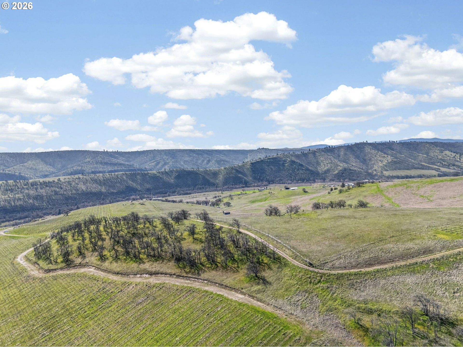 3475 3 Mile County Road The Dalles, OR 97058 - Photo 4 of 47