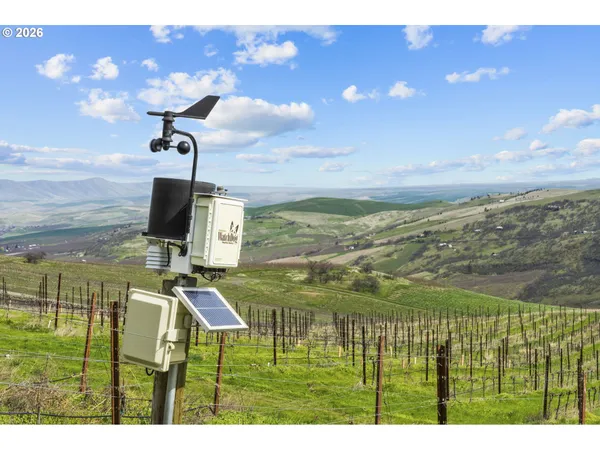 a view of a lush green hillside and mountains