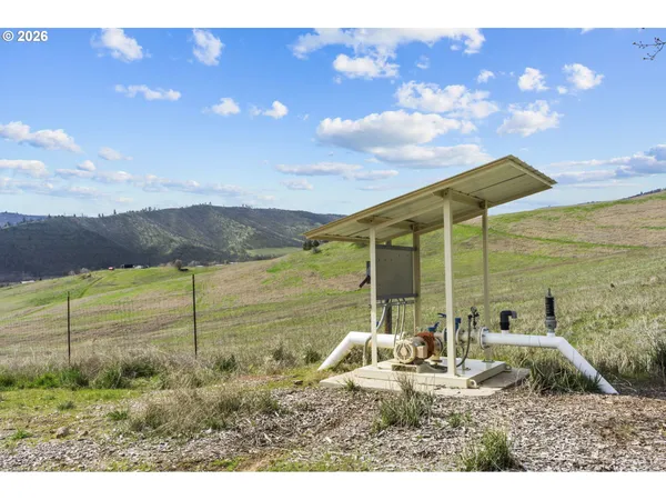 a view of a park with plants and wooden fence