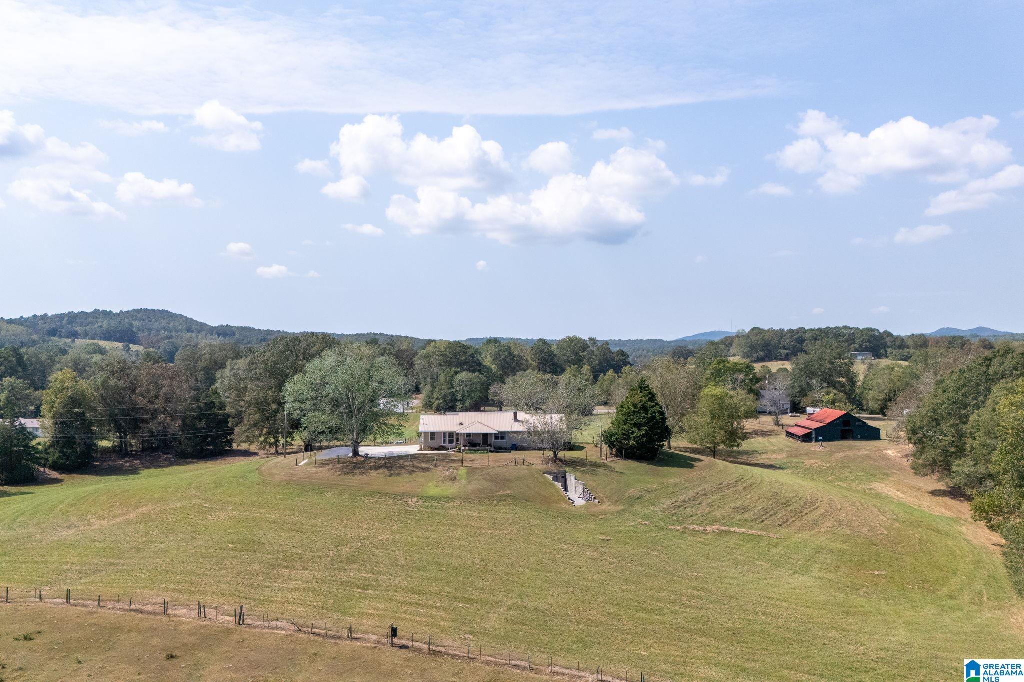 2310 Mineral Springs Road Pell City, AL 35125 - Photo 47 of 51 Gallery Image 47