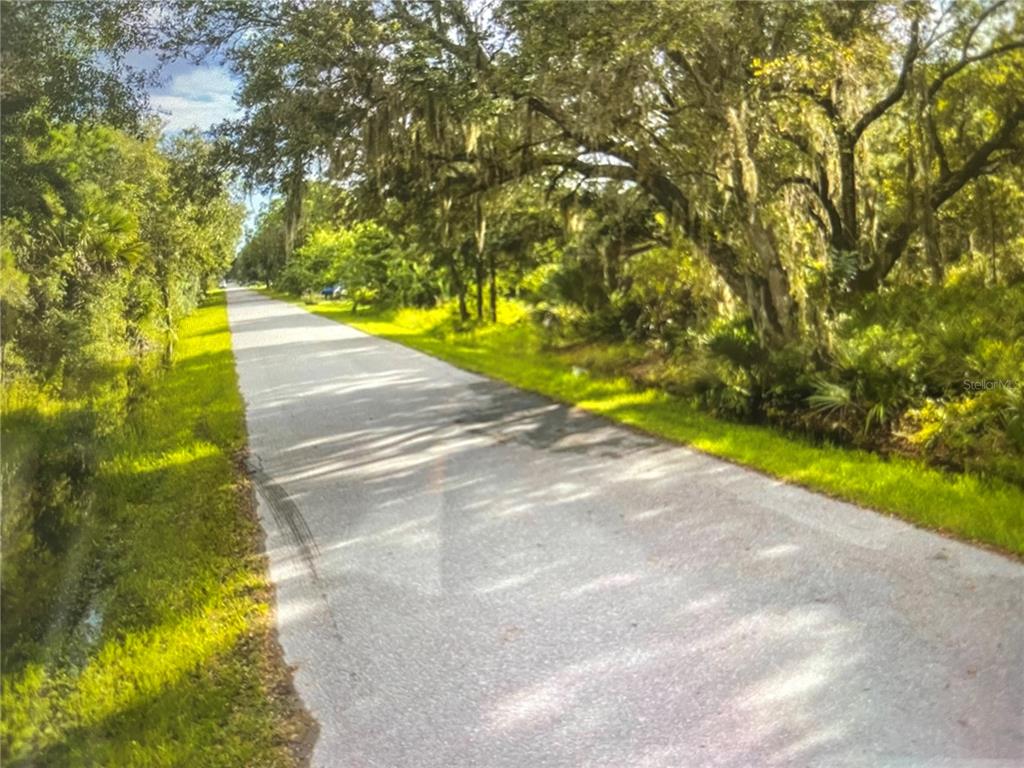 3225 Douglas Road Port Charlotte, FL 33980 - Photo 2 of 5 a view of yard with swimming pool and green space