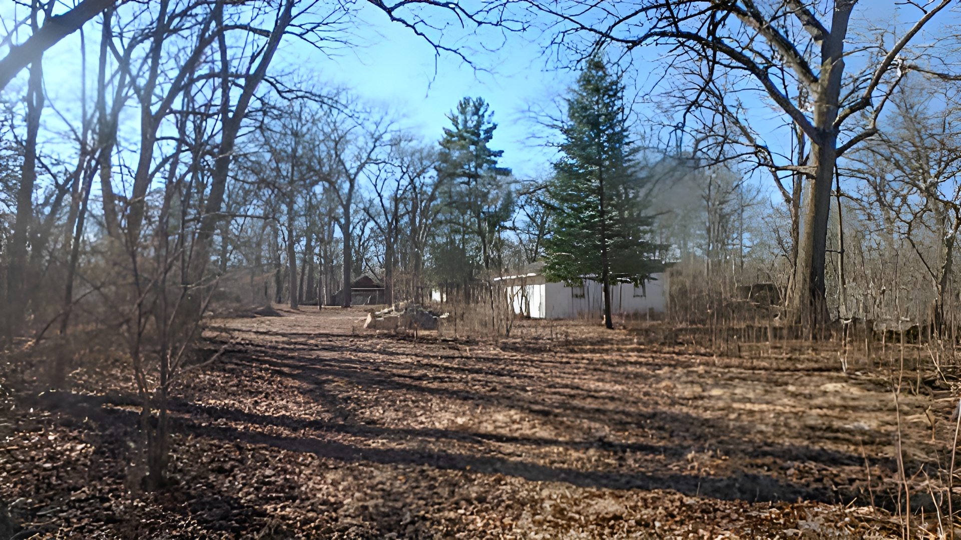 3136 North 17060E Road Momence, IL 60954 - Photo 17 of 19 a view of a yard with tree s