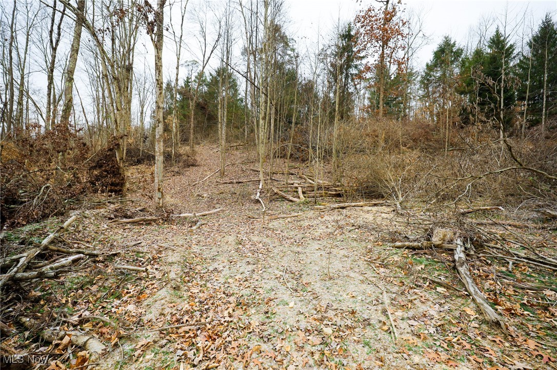 6500 Kings Ridge Road Newcomerstown, OH 43832 - Photo 42 of 46 Gallery Image 42