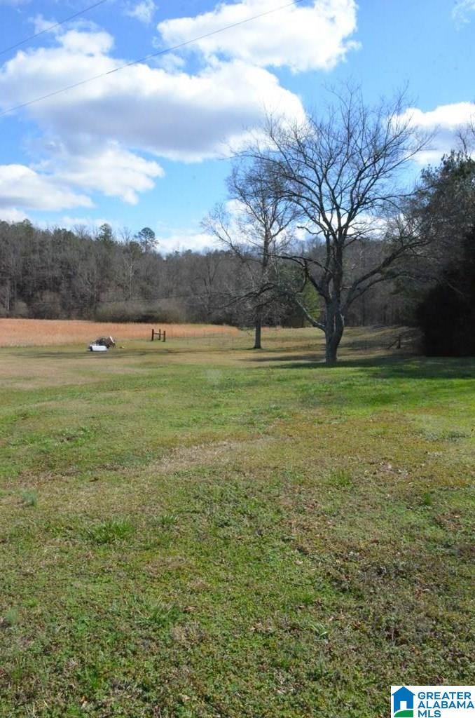 6477 Berney Station Road Talladega, AL 35160 - Photo 13 of 50