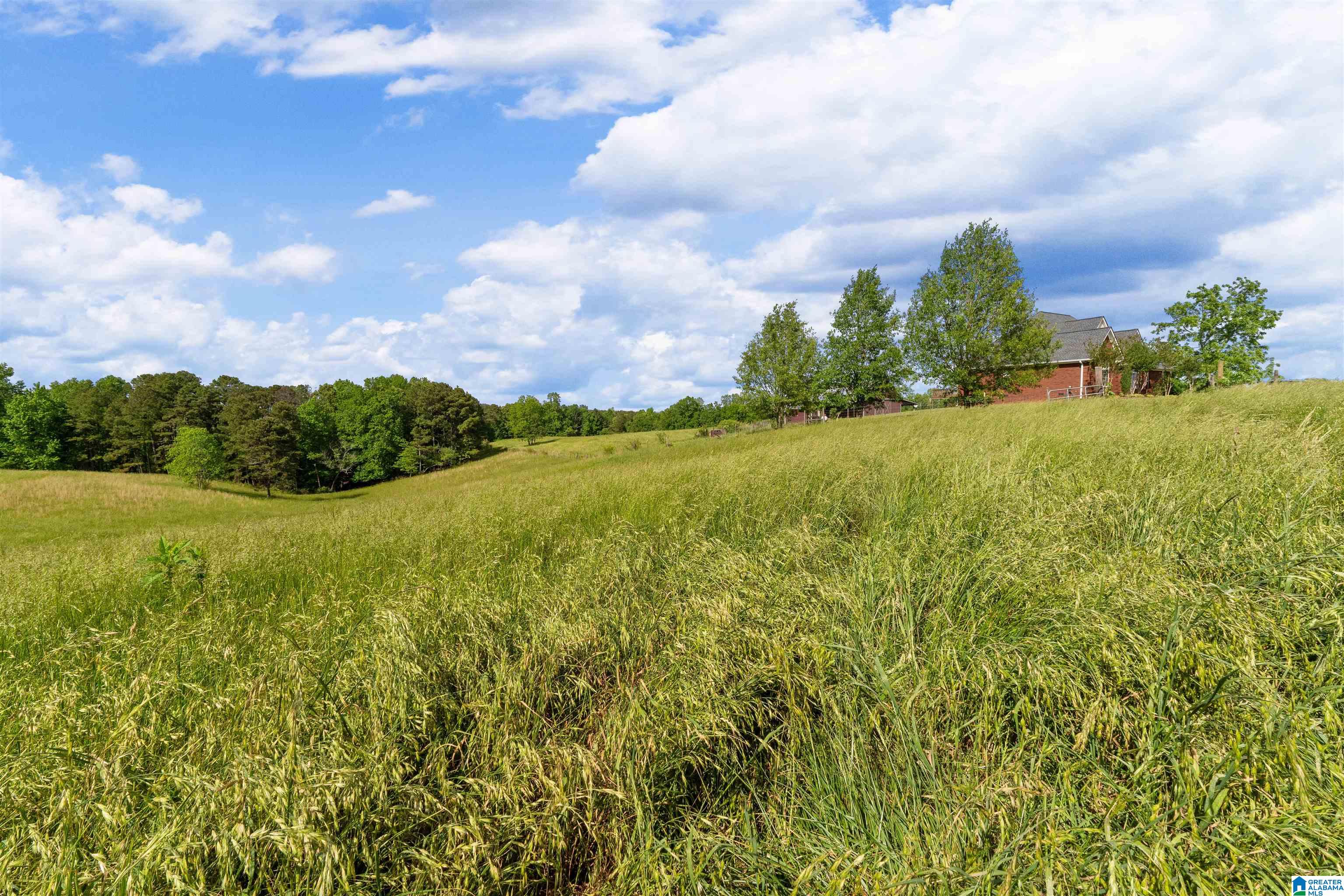 1435 County Road 633 Ranburne, AL 36273 - Photo 19 of 96