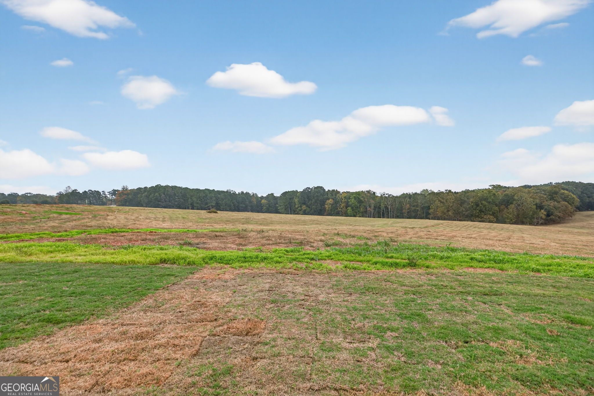 417 Gray Road Roopville, GA 30170 - Photo 50 of 53