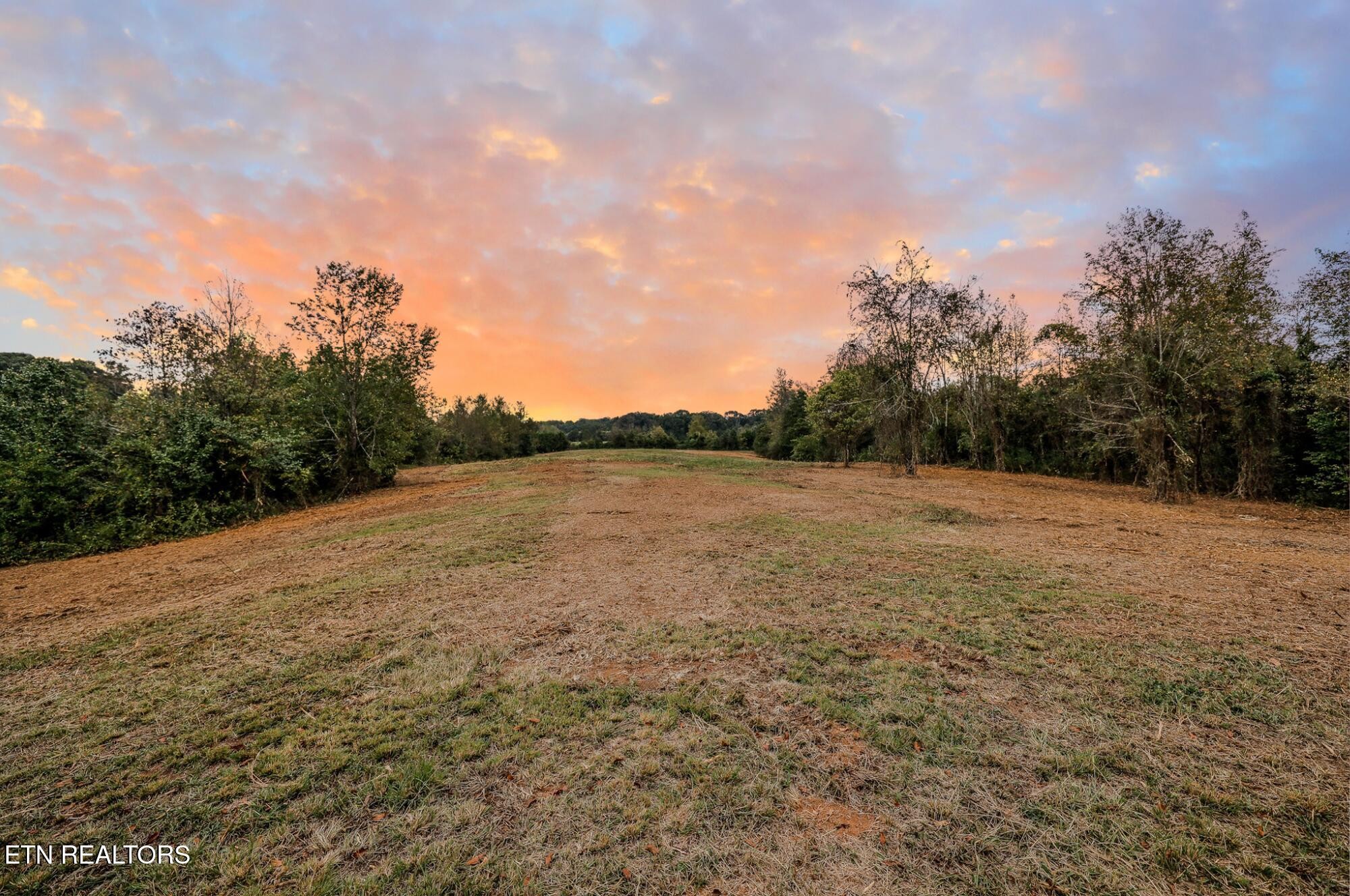 4732 Salem Road Greenback, TN 37742 - Photo 10 of 20 Gallery Image 10