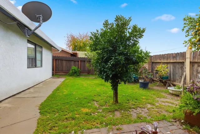 a view of a backyard with plants and a patio