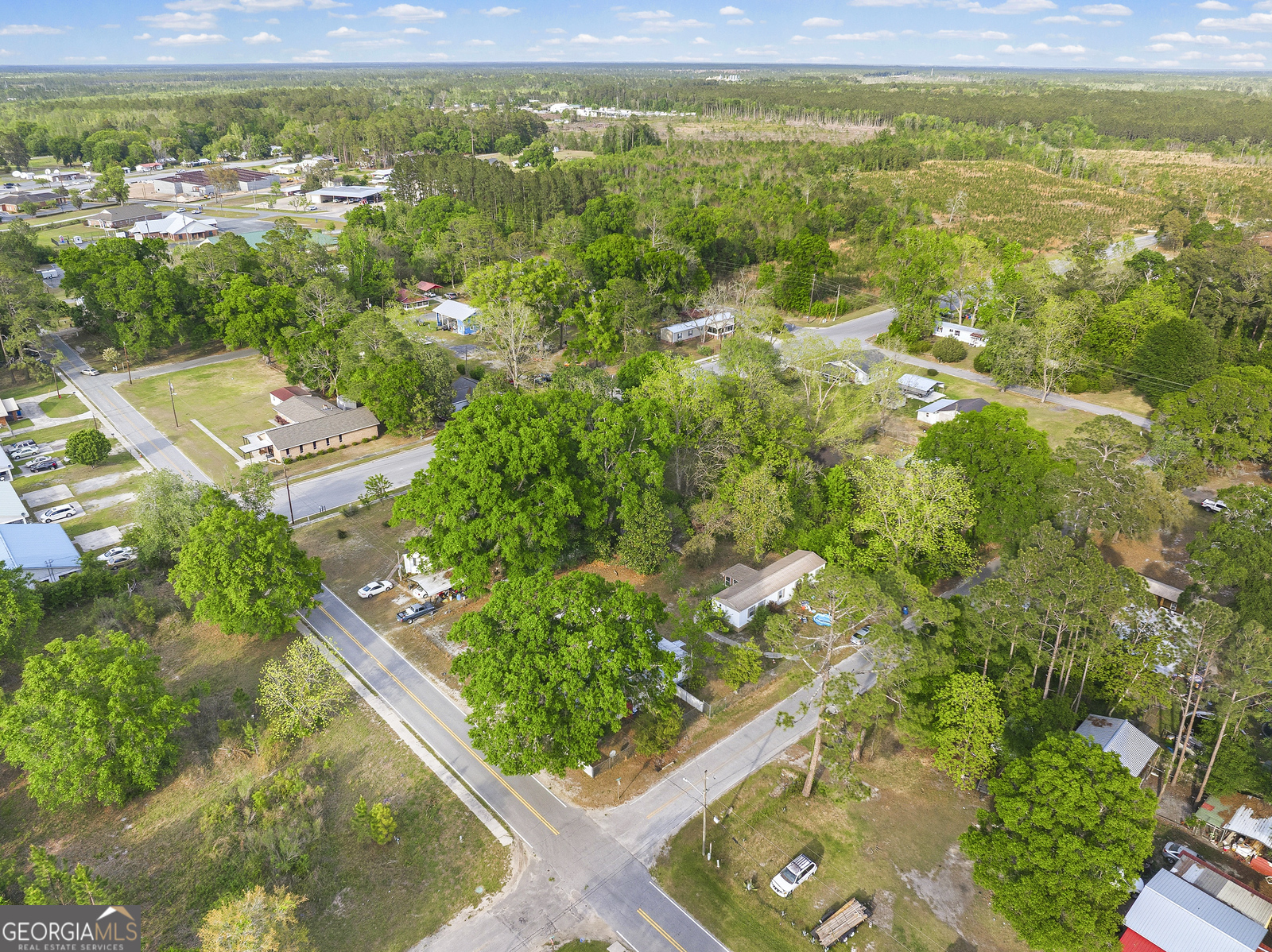 304 Cannon Street Nahunta, GA 31553 - Photo 28 of 51 a view of a city with lush green forest