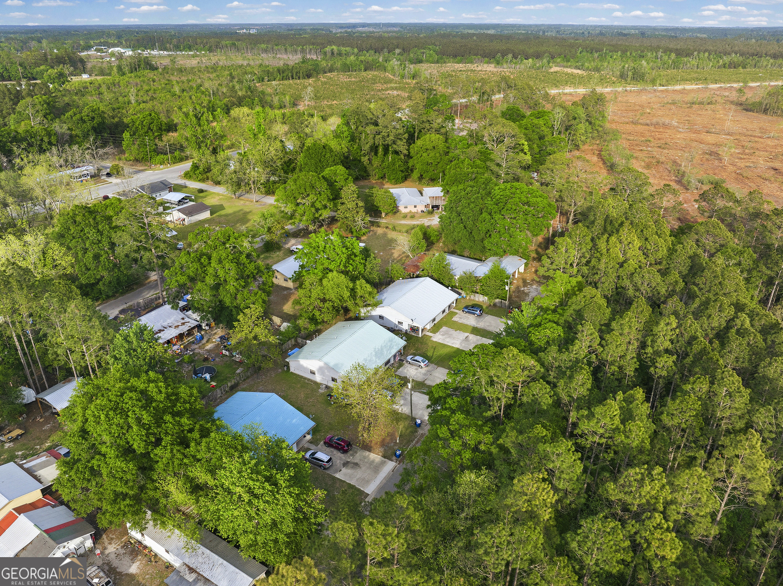 304 Cannon Street Nahunta, GA 31553 - Photo 49 of 51 a view of yard with green space