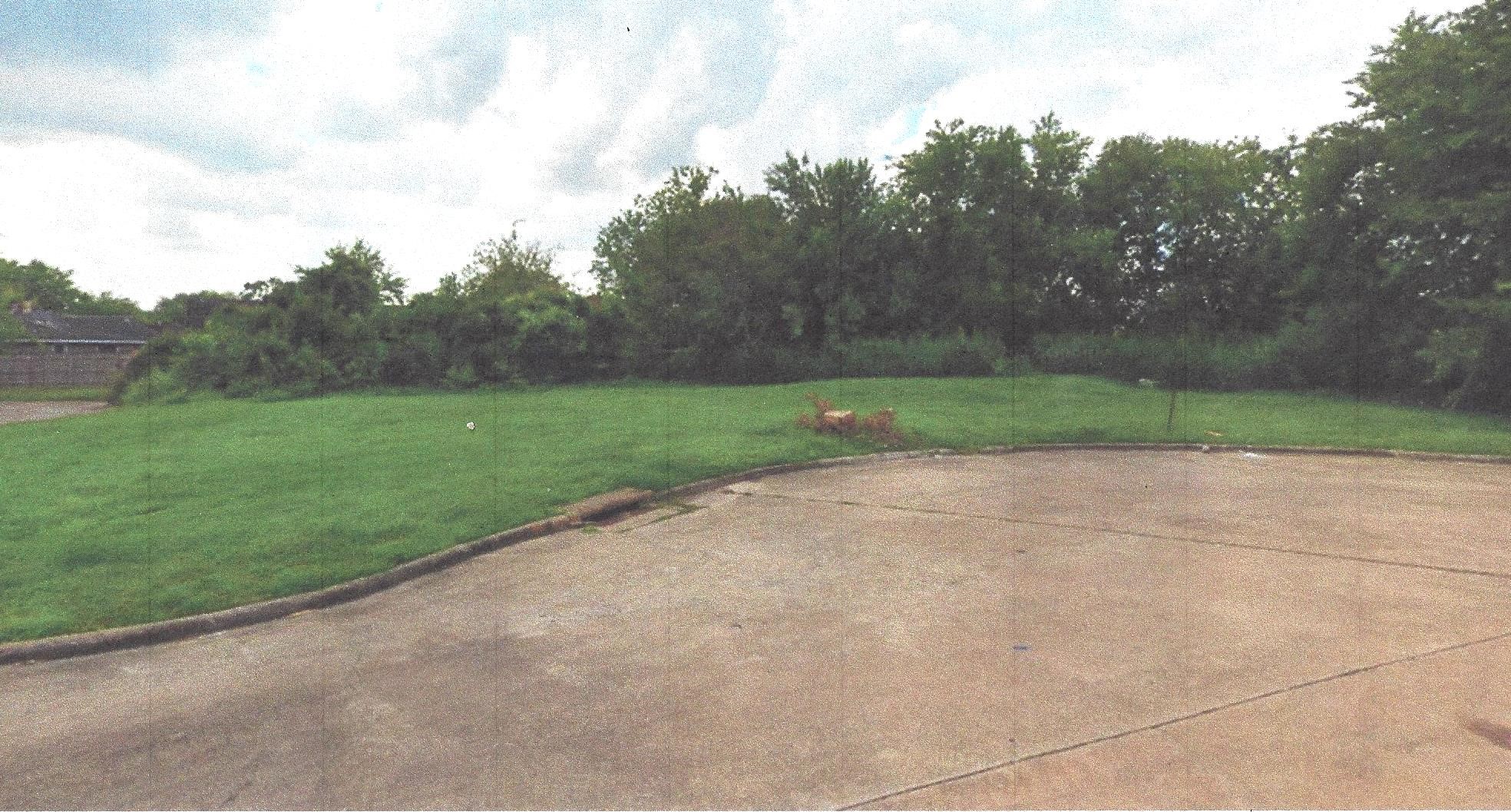 a view of a field of grass and trees