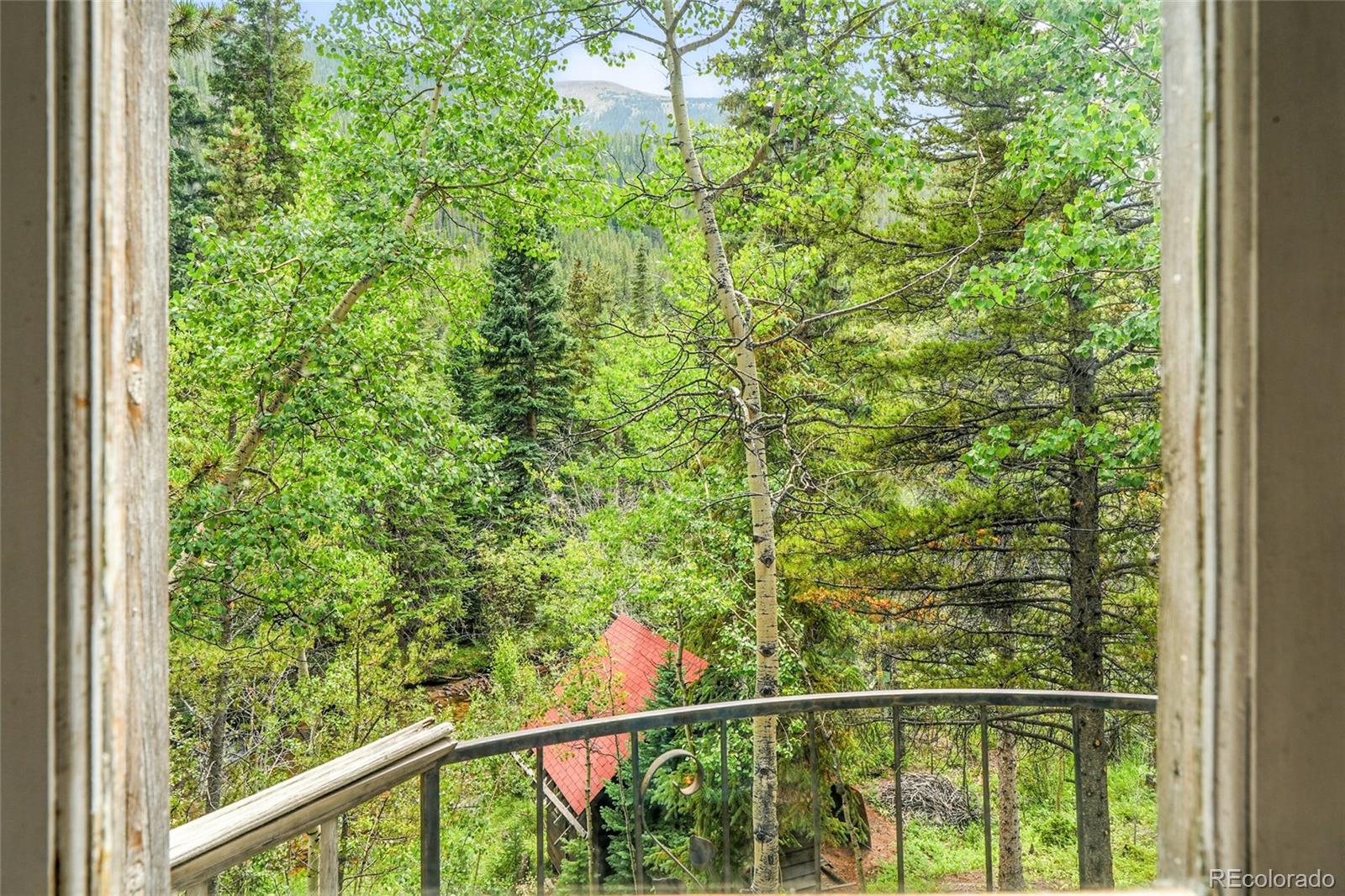 1493 Silver Valley Road Silver Plume, CO 80476 - Photo 33 of 50