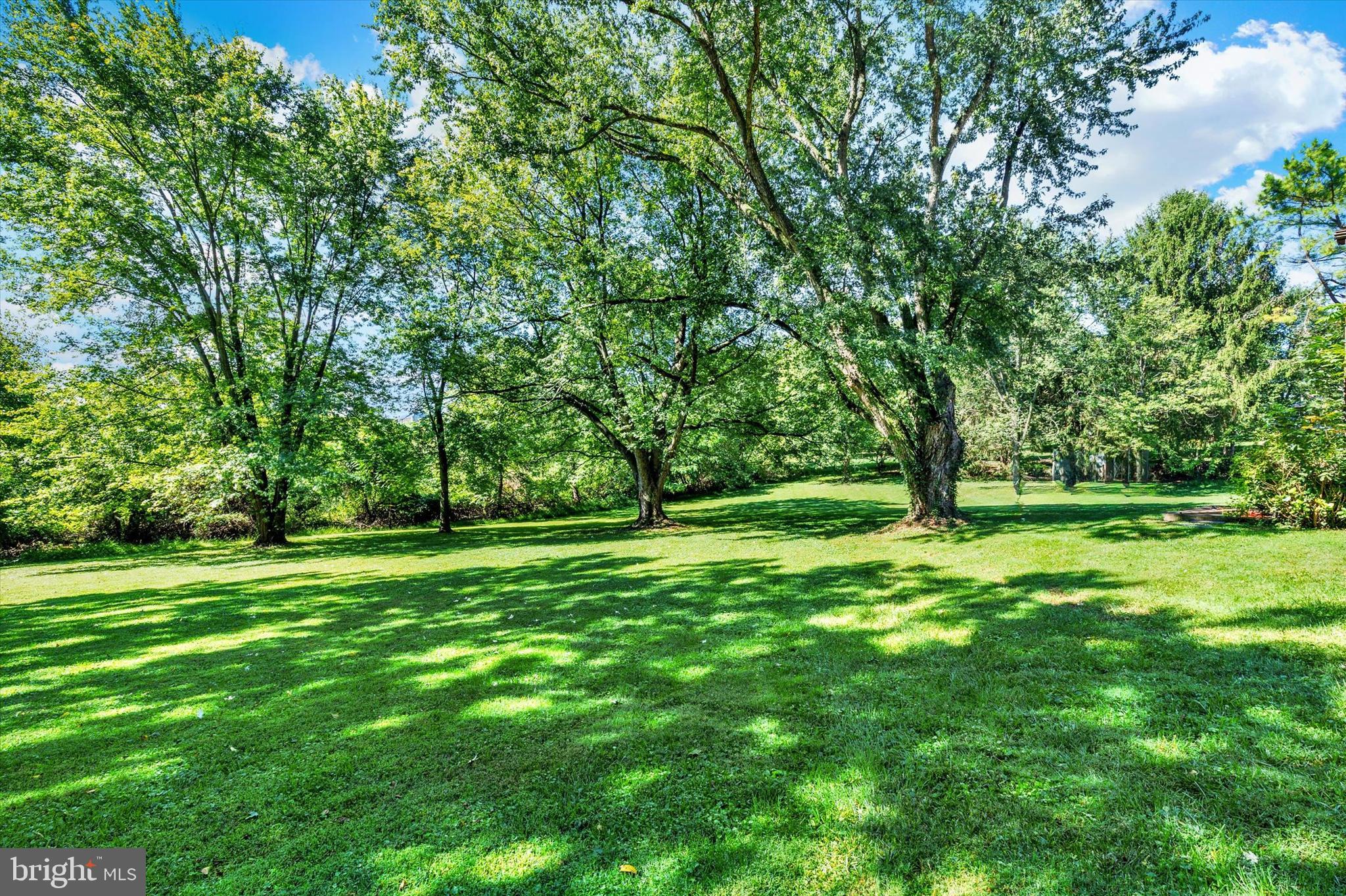 523 River Road Delta, PA 17314 - Photo 25 of 27 a view of a grassy field with trees