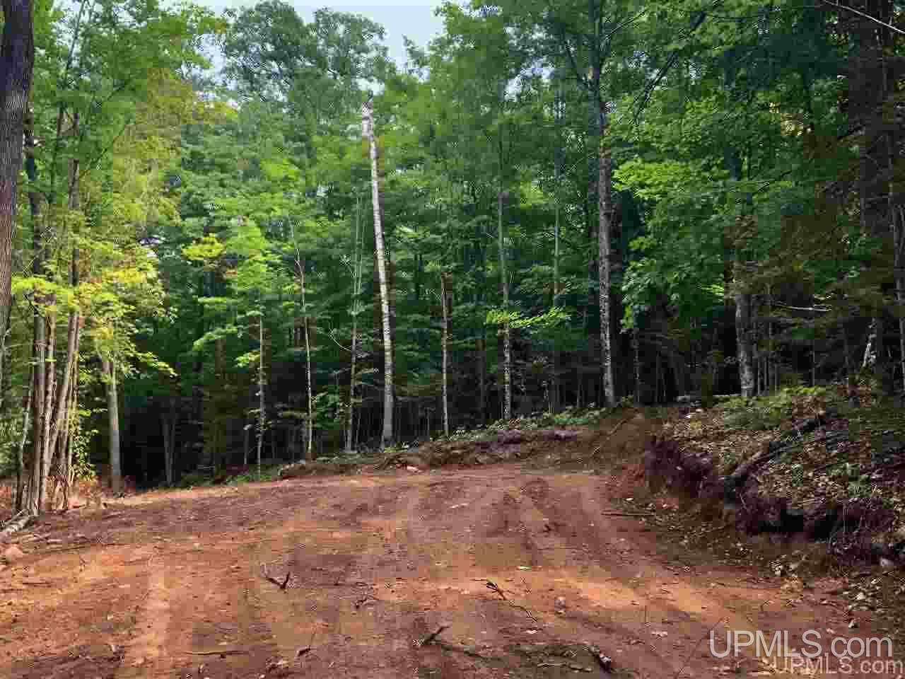 Tbd Deer Lake Road Ishpeming, MI 49849 - Photo 38 of 47