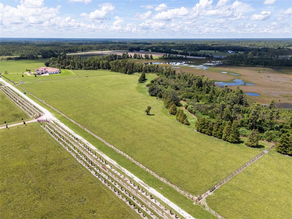 Laws Road Clermont, FL 34714 - Photo 5 of 13 Gallery Image 5