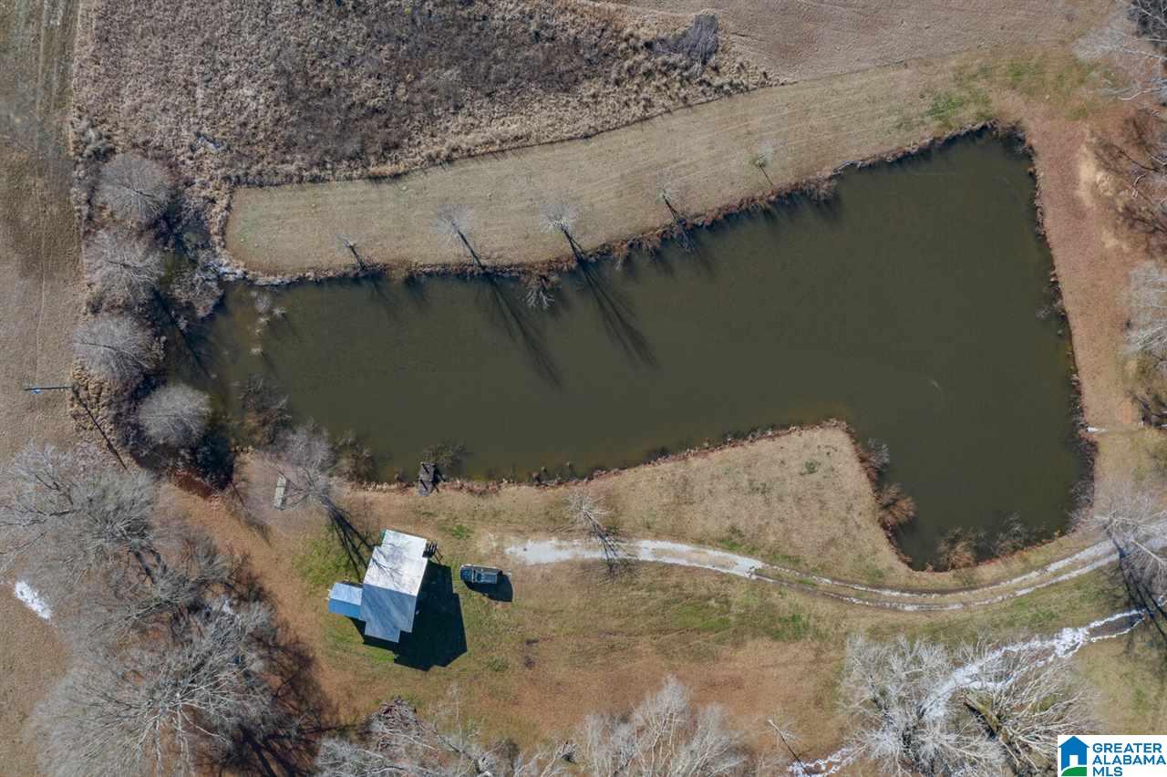 11218 Vance Blocton Road Vance, AL 35490 - Photo 23 of 37