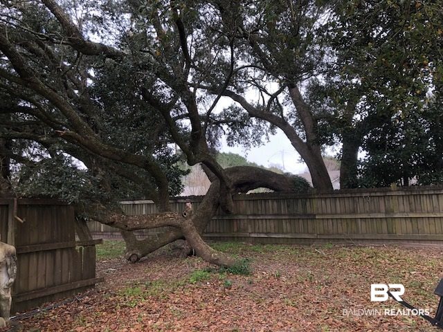 12990 Hunters Chase Foley, AL 36535 - Photo 14 of 21