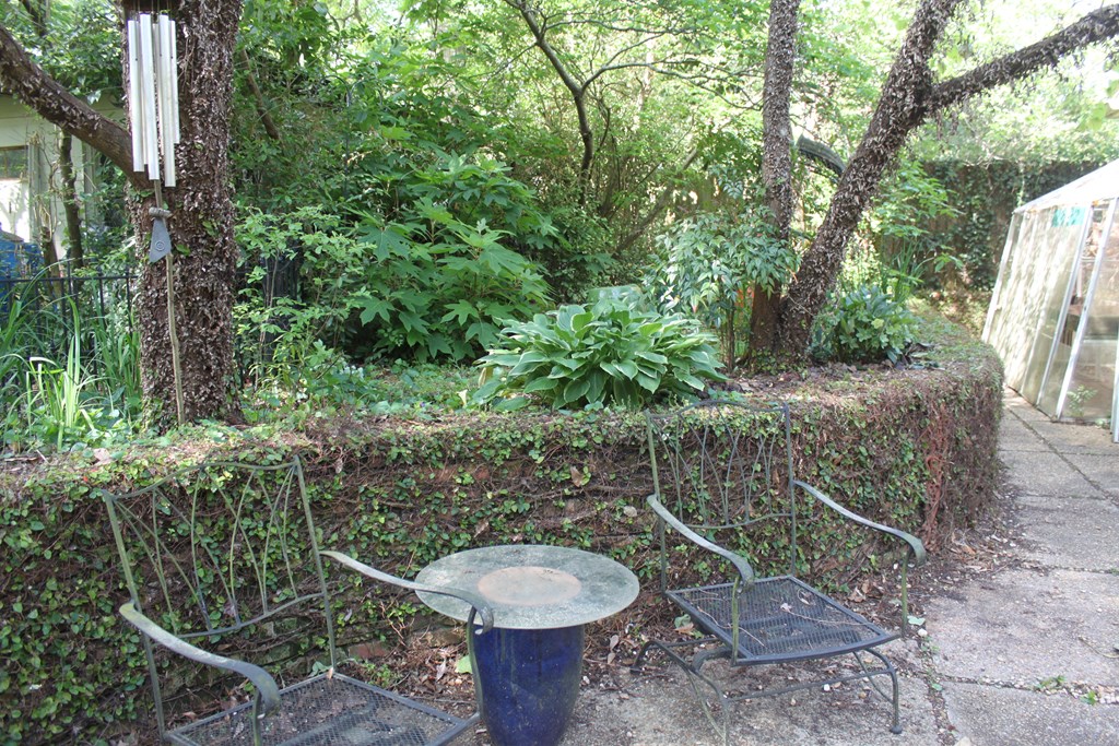 507 3rd Street Manchester, GA 31816 - Photo 57 of 59 Gallery Image 57
