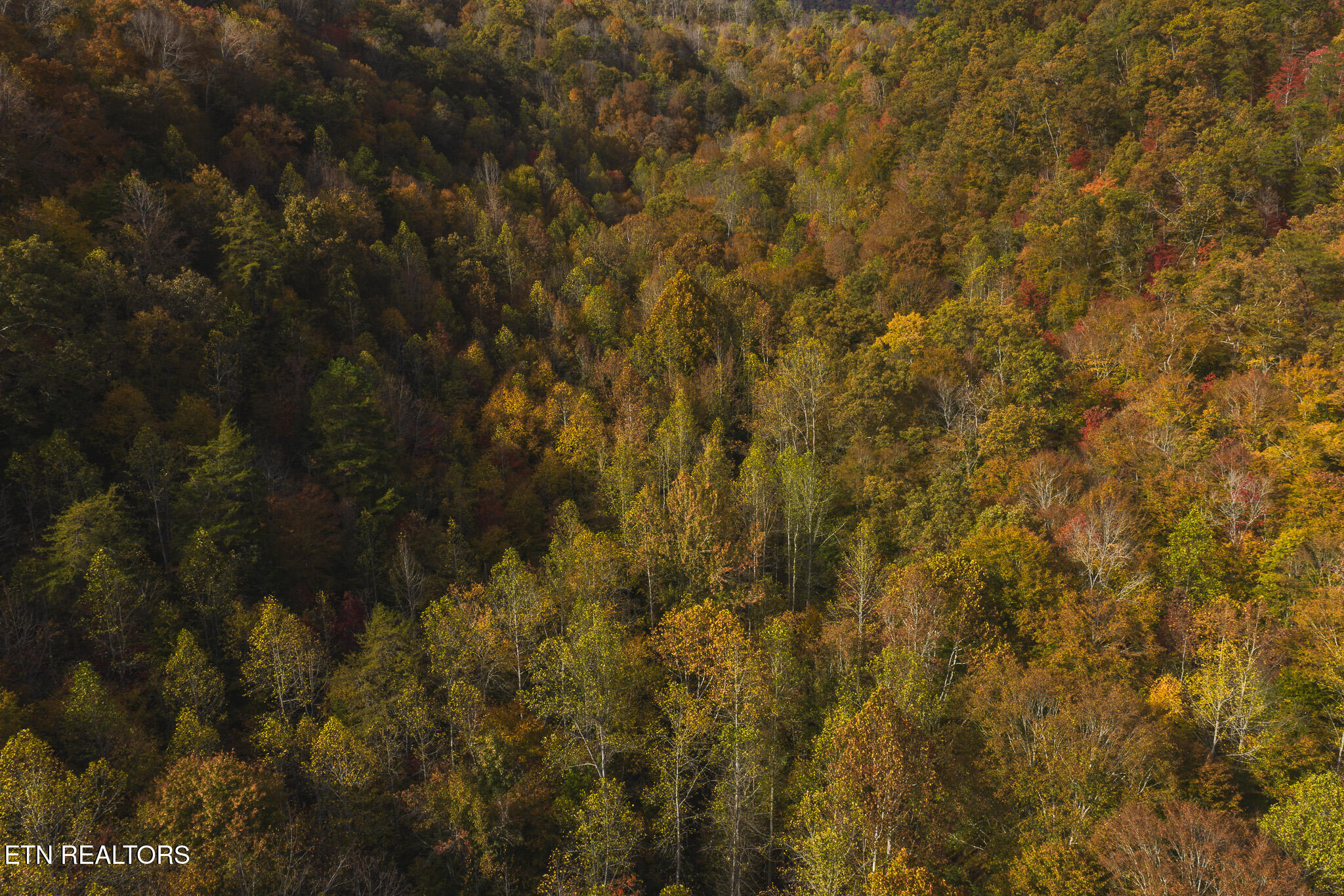 1619-89 Lynn Flanary Road Blackwater, VA 24221 - Photo 2 of 6 DJI_20251025153321_0119_D