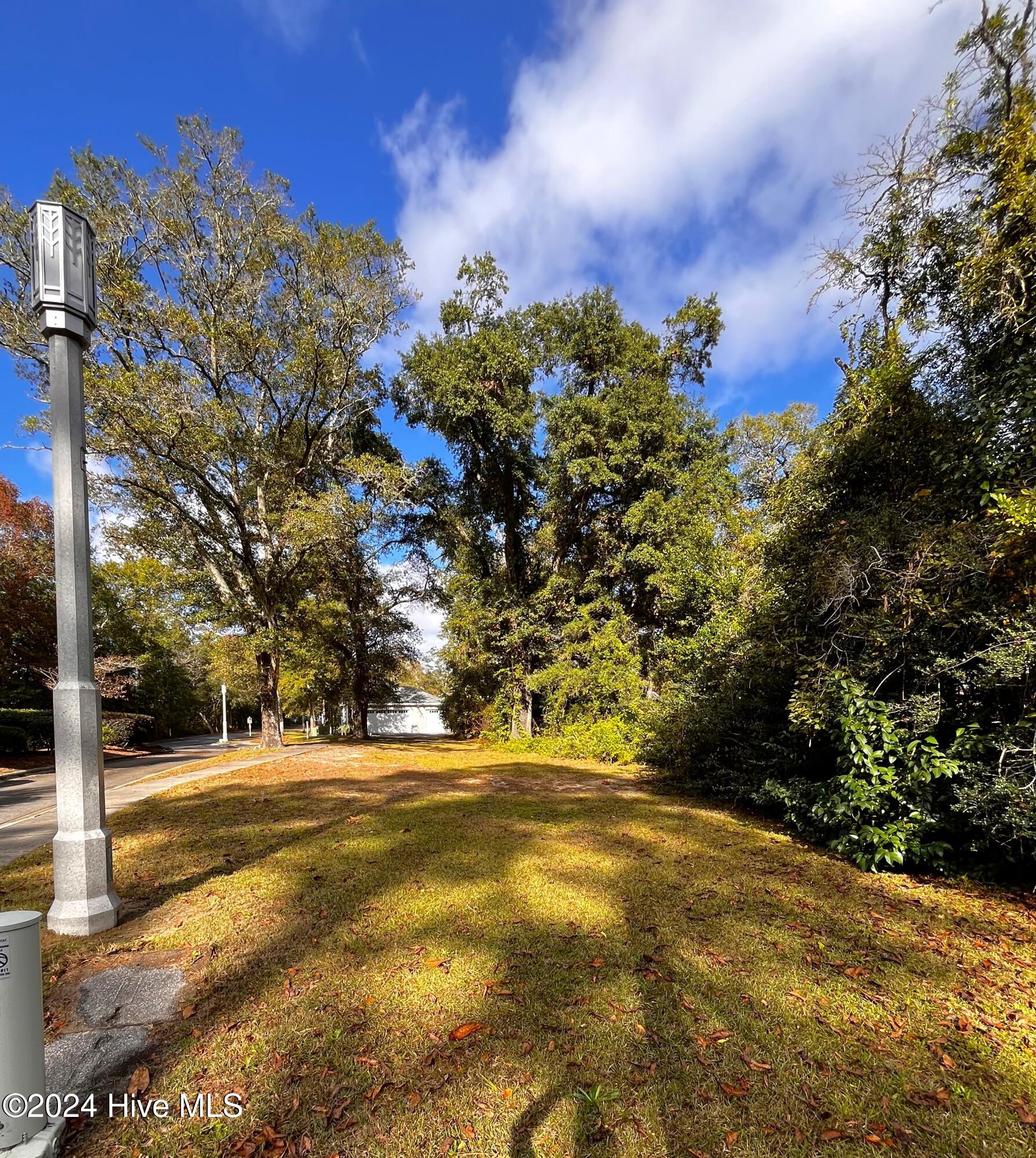 538 Jabbertown Road Southport, NC 28461 - Photo 5 of 13 LOT 54 , 538 JABBERTOWN RD
