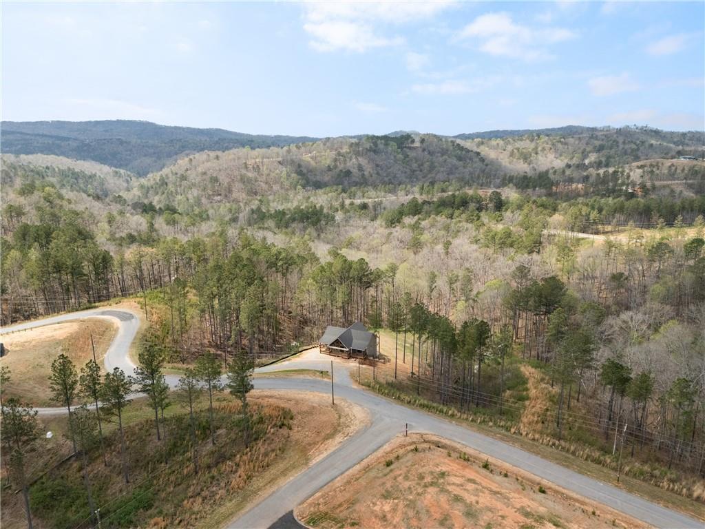 2956 Blalock Mountain Road Talking Rock, GA 30175 - Photo 52 of 65